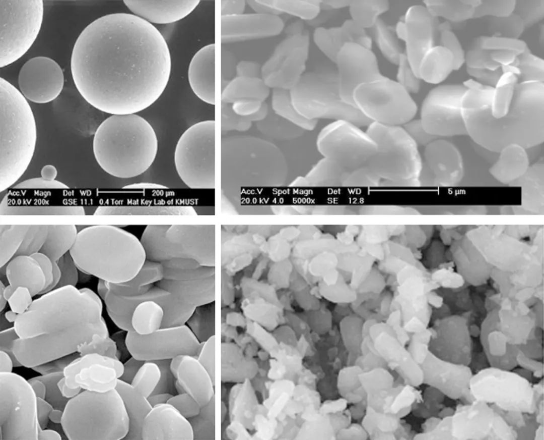 祝賀菲利特合作伙伴河南天馬新材料股份有限公司北交所上市 祝賀菲利特合作伙伴河南天馬新材料股份有限公司北交所上市